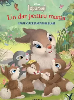 Disney. Iepurasi. Un dar pentru mama. Carte cu despartiri in silabe (Nivelul 2)