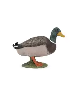 Figurina - Mallard Duck | Papo