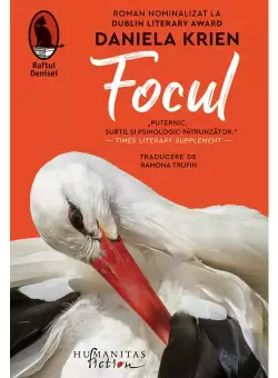 Focul
