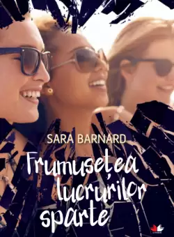 Frumusetea lucrurilor sparte