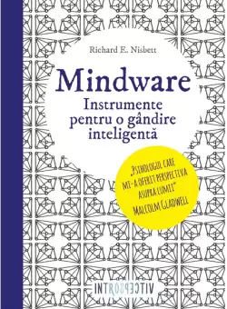 Mindware. Instrumente pentru o gandire inteligenta