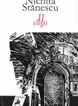 11 elegii | Nichita Stanescu