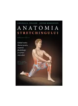 Anatomia stretchingului
