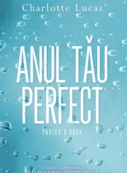 Anul tau perfect (vol.2) - Hardcover - Charlotte Lucas - RAO