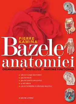 Bazele anatomiei. Organogeneza. Morfologie. Anatomie functionala