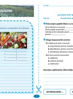 Caietul elevului. Biologie clasa a V-a | Atia Mihaela Fodor, Leontina Monica Suna, Viorica Boldisor, Carmen Ciuculescu