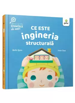 Ce este ingineria structurala