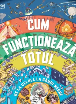 Cum functioneaza totul