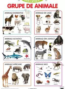 Descopera! Grupe de animale (planse educationale)