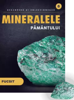 Fucsit. Volumul 6. Mineralele Pamantului