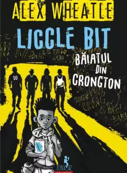 Liccle Bit, baiatul din Crongton - Paperback brosat - Alex Wheatle - Polirom