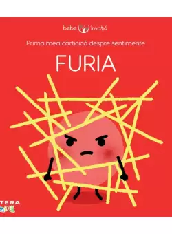 Prima mea carticica despre sentimente: Furia