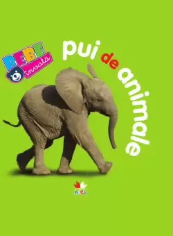 Pui de animale. Bebe invata