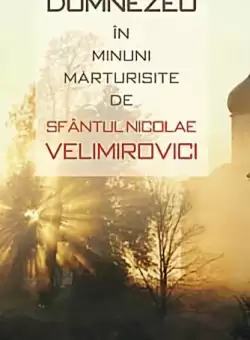 Puterea lui Dumnezeu in minuni marturisite de Sfantul Nicolae Velimirovici - Paperback brosat - Nicolae Velimirovici - Sophia