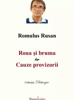 Roua si bruma & Cauze provizori | Romulus Rusan