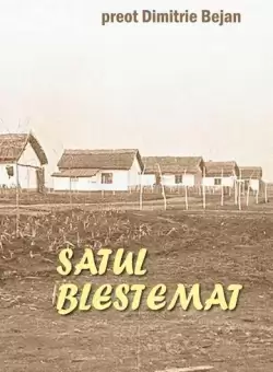 Satul blestemat - Paperback brosat - Dimitrie Bejan - Ileana