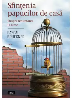 Sfintenia papucilor de casa