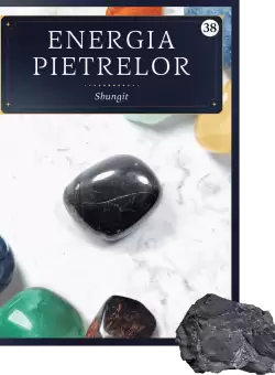 Shungit. Volumul 38. Energia pietrelor