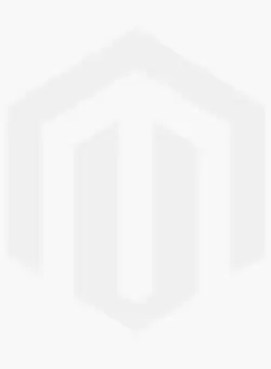 Tanarul Sherlock Holmes. Norul mortii.