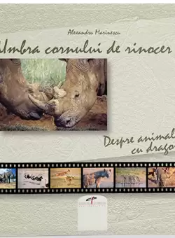 Umbra cornului de rinocer. Despre animale, cu dragoste | Alexandru Marinescu