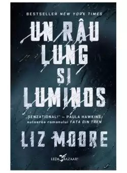 Un rau lung si luminos - Paperback brosat - Liz Moore - Leda