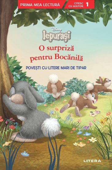 Disney Iepurasi. O surpriza pentru Bocanila. Povesti cu litere mari de tipar (Nivelul 1)
