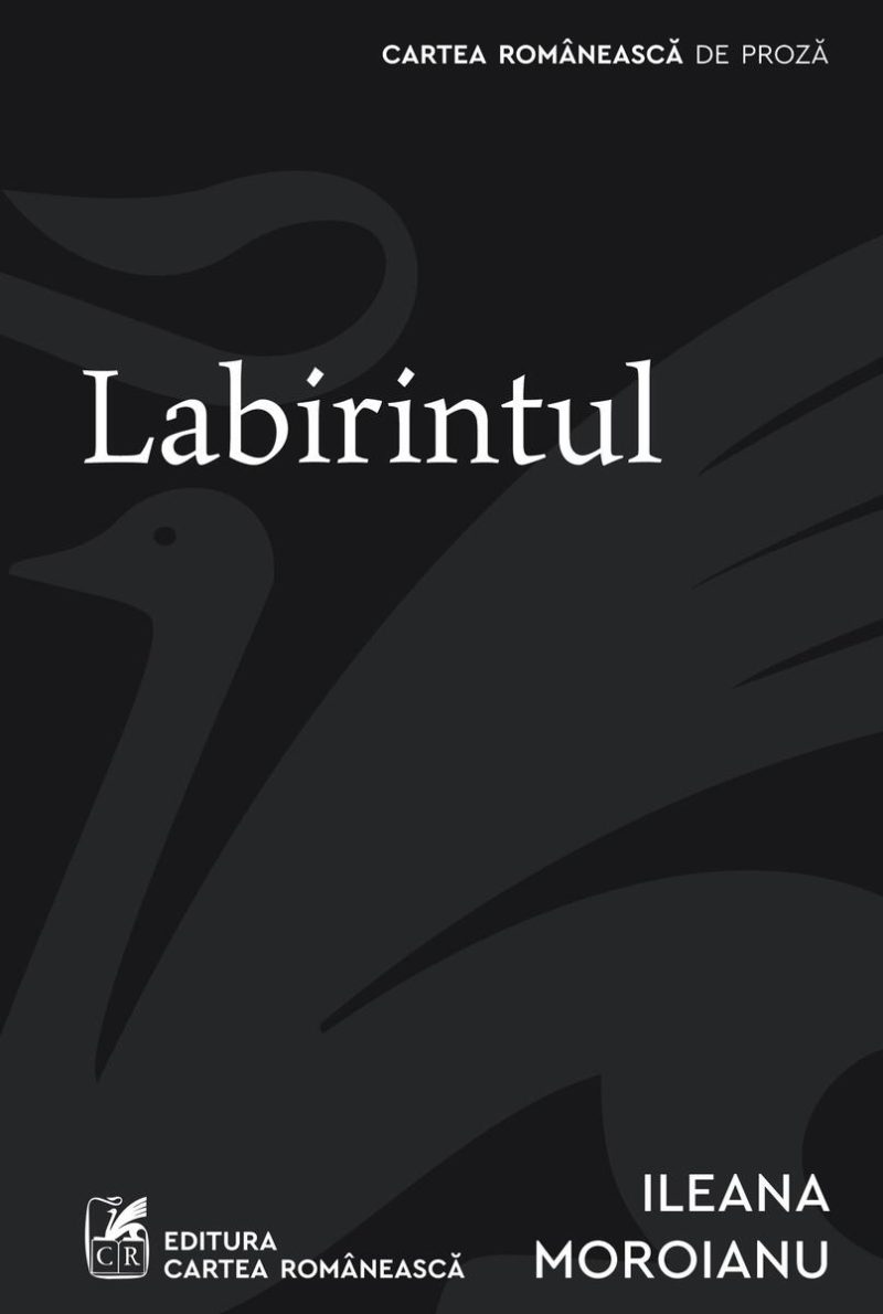 Labirintul -  Ileana Moroianu
