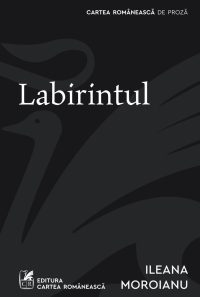 Labirintul -  Ileana Moroianu