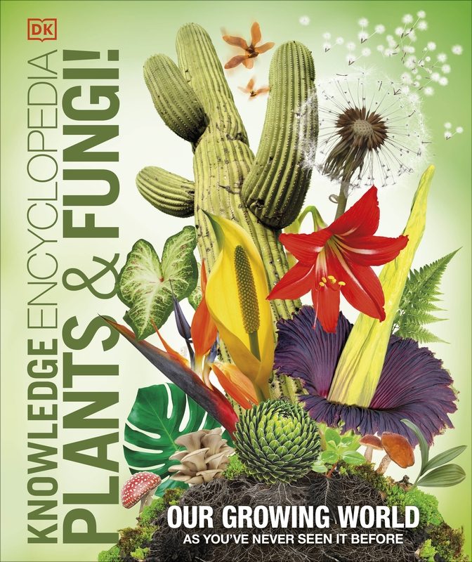 Plants and Fungi